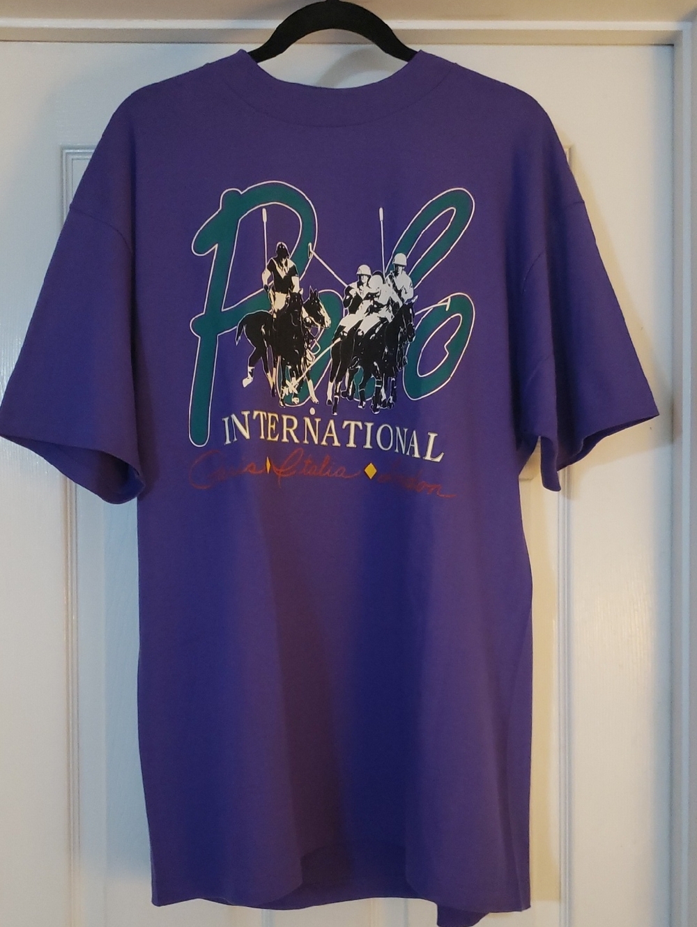 NWT-Vintage Polo International Graphic Tee - Purple with Accents